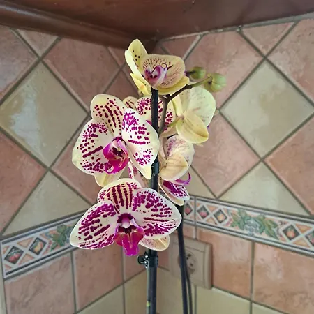 L'escapade En Loire Semesterbostad Saumur