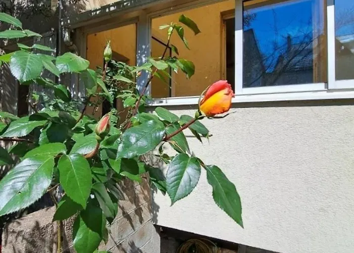 L'escapade En Loire Saumur