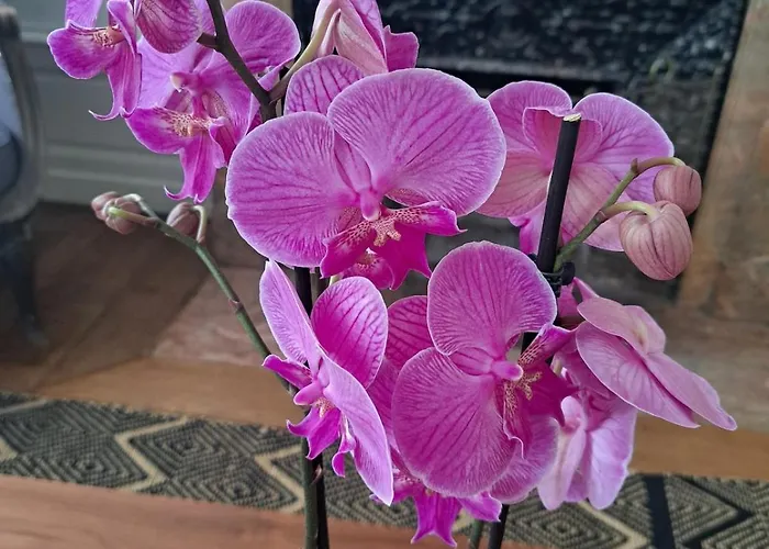 L'escapade En Loire *